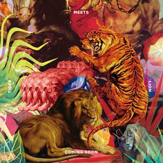 "Tiger Meets Lion" - Coming Soon on Behance Artwork by Quentin Deronzier #tropical #lion #artwork #cover #music #tiger #collage