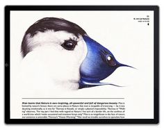 Book preview on Illustration Served #ipad #book #bird #illustration #nature #blue