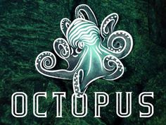 Octopus Logo #logo #illustration #octopus