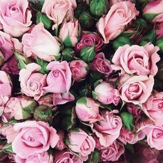 Likes | Tumblr #inspiration #roses