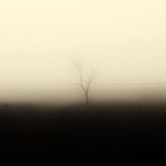 White Noise on the Behance Network #fog #photo #heiderich #photography #matthias