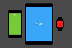 Peak by Proxy #colourful #logo #web design #app