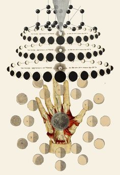 "cycles" anatomical collage art by bedelgeuse #phases #anatomy #bedelgeuse #art #collage