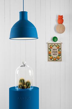 Form Us With Love #display #light #space #cactus