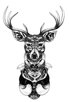 Broutilles Store X Iain Macarthur on Behance #buck #iain #deer #macarthur