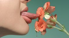 the crysalis #flower #tongue #portrait