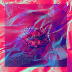 S T U T T E R - Rosco Flevo #roscoflevo #album #artscumantics #cover #butterfly #colors #postartfuckery #art #music