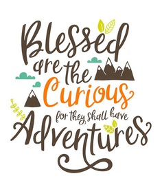 Blessed Are the Curious for They Shall Have Adventures Quote by L. Drachman