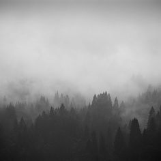 Dark forests on Photography Served #photography #landscape