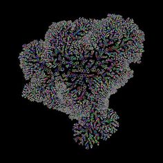 9591626974_2c89a03ee7_o.png (2000×2000) #lace #generative #pattern #algae