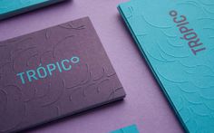 Carlos Bauer and Nicholas Pierre tropico branding blue logotype business card modern simple mindsparkle mag purple stationery minimal