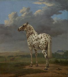 Paulus Potter, The "Piebald" Horse (c. 1650–54)