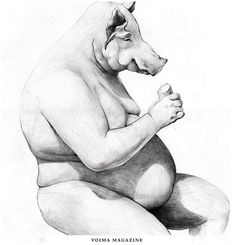 Emil Bertell Illustration Portfolio #chubby #bertell #pig #emil #illustration #pencil