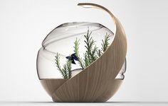 Using innovative technology, Avo is a fish tank that cleans its own water and automates heat and lighting; Owning fish has never been this s #modern #design #product #industrial #innovative