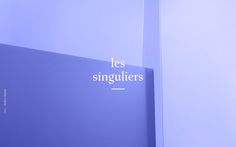 Les Singulairs Paris communication agency france webdesign inspiration best of award site of day mindsparkle mag