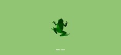 Animal Symbology | Frog - Luck #animal #animals #symbology #frog #luck #designbyorimat #orimat