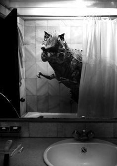 Chip K // #shower #mirror #photography #trex #dinosaur