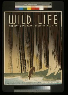 Wild life The national parks preserve all life. #wpa #retro #vintage #poster