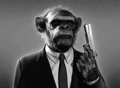 tokyo-bleep #gun #chimpanzee #dogs #photography #reservoir