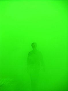 image.jpg (JPEG Image, 345 × 460 pixels) #neon #fog #green