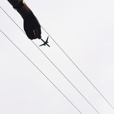 iPhoneography by Varun Thota #inspiration #photography #iphoneography