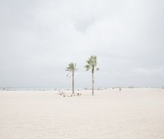 BEACH #beach #palms