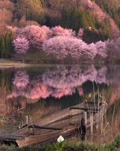 Amazing Nature Photography in Japan by Makiko Samejima