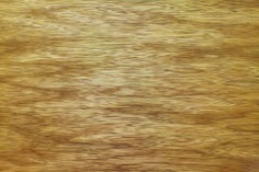Oak Wood Texture Free Download