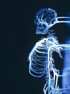Embodiment: A Neon Skeleton by Eric Franklin #skeleton #light #neon