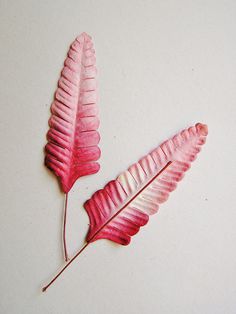 Pink Raspberry ombre ferns Vintage style by thegildedbee on Etsy #pink #magenta #decor #vintage #fern #ombre #plant