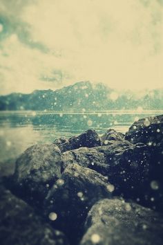 Untitled | Flickr - Photo Sharing! #photography #rain #nature