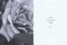 in the cup #flower #photo #patten #invitation