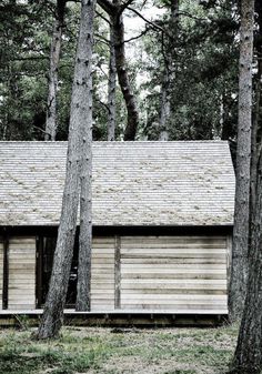 spejlvendt #wood #timber #architecture #trees