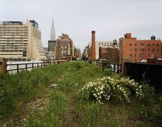 Joel Sternfeld | Friends of the High Line #line #york #nyc #high #new