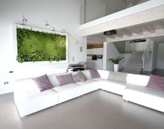 Green Vegetable Pictures By Sundar Italia - #decor, #interior, #homedecor,