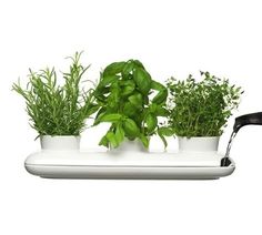 From Scandinavia with love - design & style (Herb pot from Swedish Sagaform.) #product #herb #green