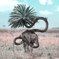 Dreamlike Animals: Whimsical Photo Manipulations by Julien Tabet