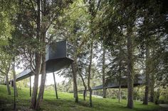 treesnakehouse-7 #architecture #house #tree