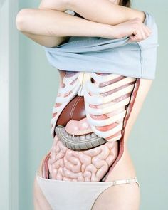 Modische Atlas der Anatomie #body