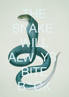 #snake #poster #quote #animal #cobra