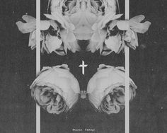 Trent Alexander Hernandez #print #type #design #floral #poster #symmetry