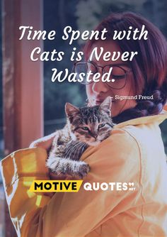 Time Spent with Cats is Never Wasted
