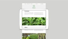 herb me web #herbal #herb #design #me #eco #type #web #green