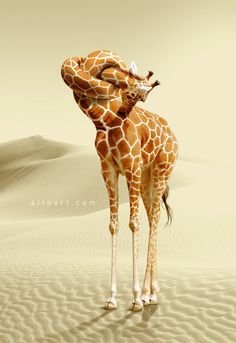 In this Photoshop tutorial learn how to create comicscene with realistic giraffe neck knot and apply spotted texture to it #knot #giraffe #tutorial #twist #neck #alfoart