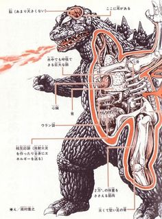 Kaiju anatomical drawings ::: Pink Tentacle #anatomical #drawing #godzilla