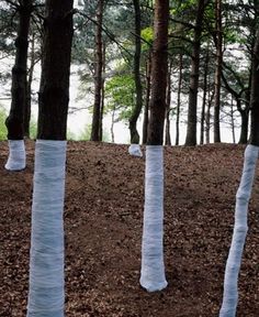 Zander Olsen - BOOOOOOOM! - CREATE * INSPIRE * COMMUNITY * ART * DESIGN * MUSIC * FILM * PHOTO * PROJECTS #art #trees #public
