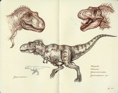 Pinned Image #dinosaur #sketch