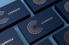 Caprock is a leader in managing family wealth with their personalized, hands-on approach. Pioneers in the impact investing space, they wanted to modernize their brand identity and create a cohesive visual system. For more of the most beautiful designs visit mindsparklemag.com