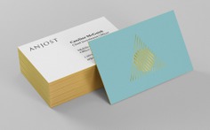 Anjost private investment company brand identity and illustration. Business card