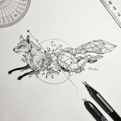 Intricate and Geometrical Drawings of Wild Animals